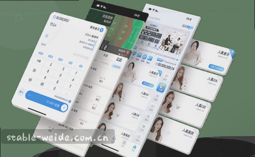 访客行为路径分析示意